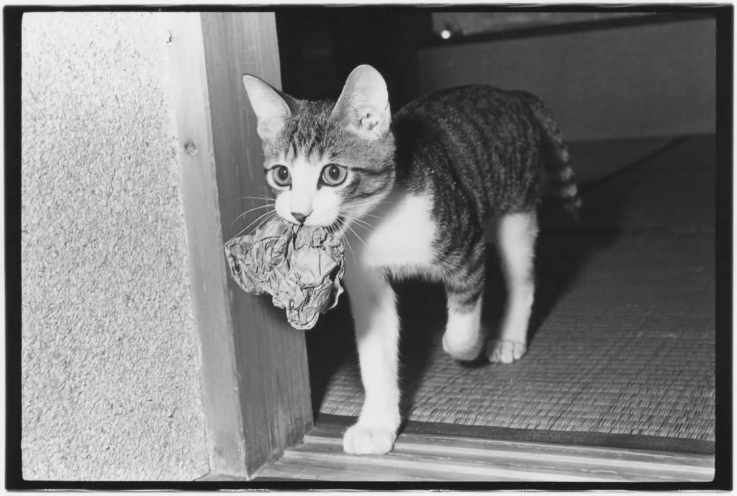 Masahisa Fukase: Masahisa Fukase